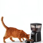 Automatic Cat Feeder and Water Fountain, 4L/16 Cups Timed Cat Dry Food Dispenser, 10s Meal Call, 20 Portions 6 Meals Per Day, 2L Cats Fountains for Drinking with Filter, Pet Feeder for Dog Black-1