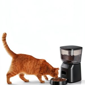 Automatic Cat Feeder and Water Fountain, 4L/16 Cups Timed Cat Dry Food Dispenser, 10s Meal Call, 20 Portions 6 Meals Per Day, 2L Cats Fountains for Drinking with Filter, Pet Feeder for Dog Black-1