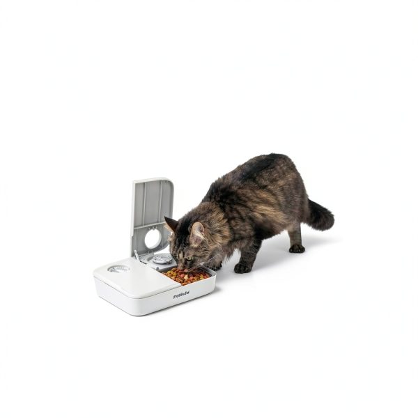 PetSafe Analog 2 Meal Feeder 3 Cup Capacity Tamper Resistant-3